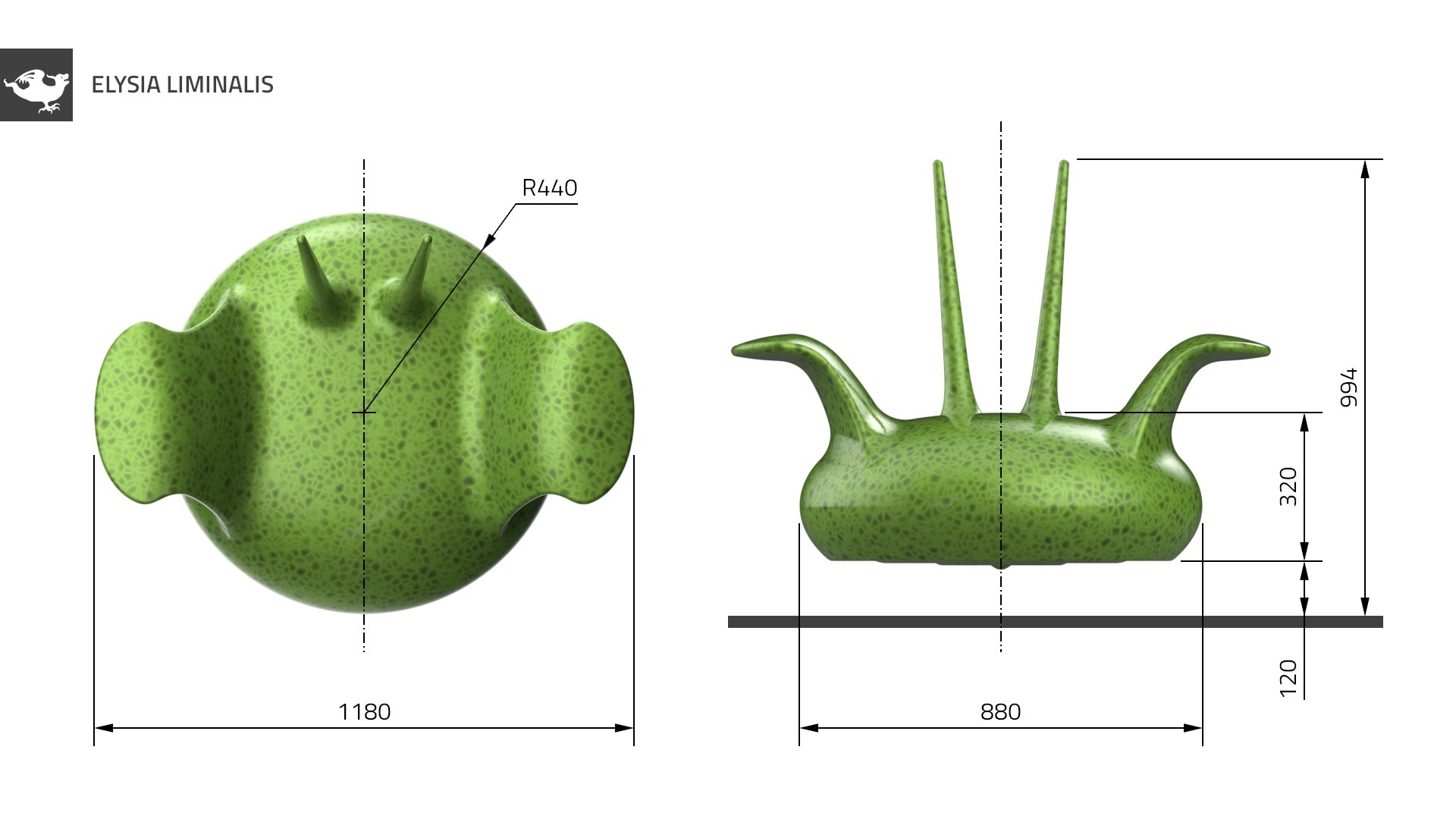 Elysia liminalis: Dimensions