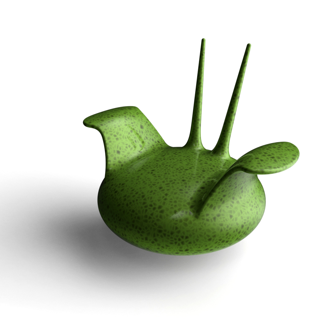 Elysia liminalis
