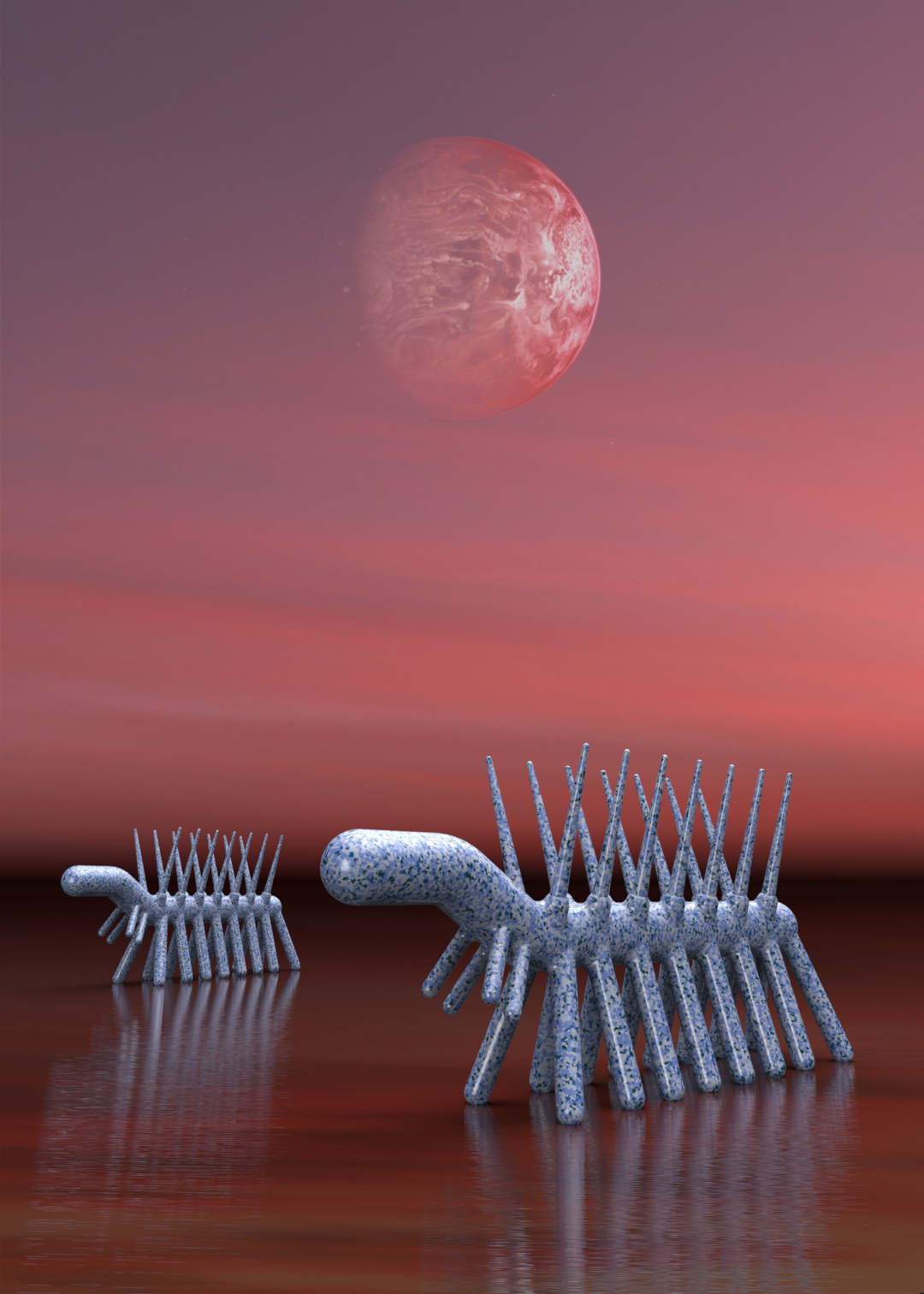 Hallucigenia aarnii