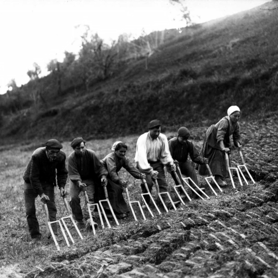 Campesinos lajando [sic]. Photo by Felipe Manterola, 1915.
