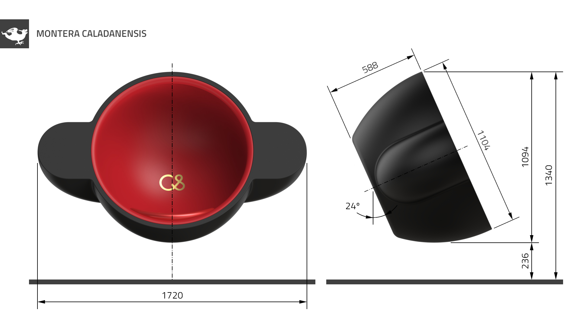 Montera caladanensis: Dimensions