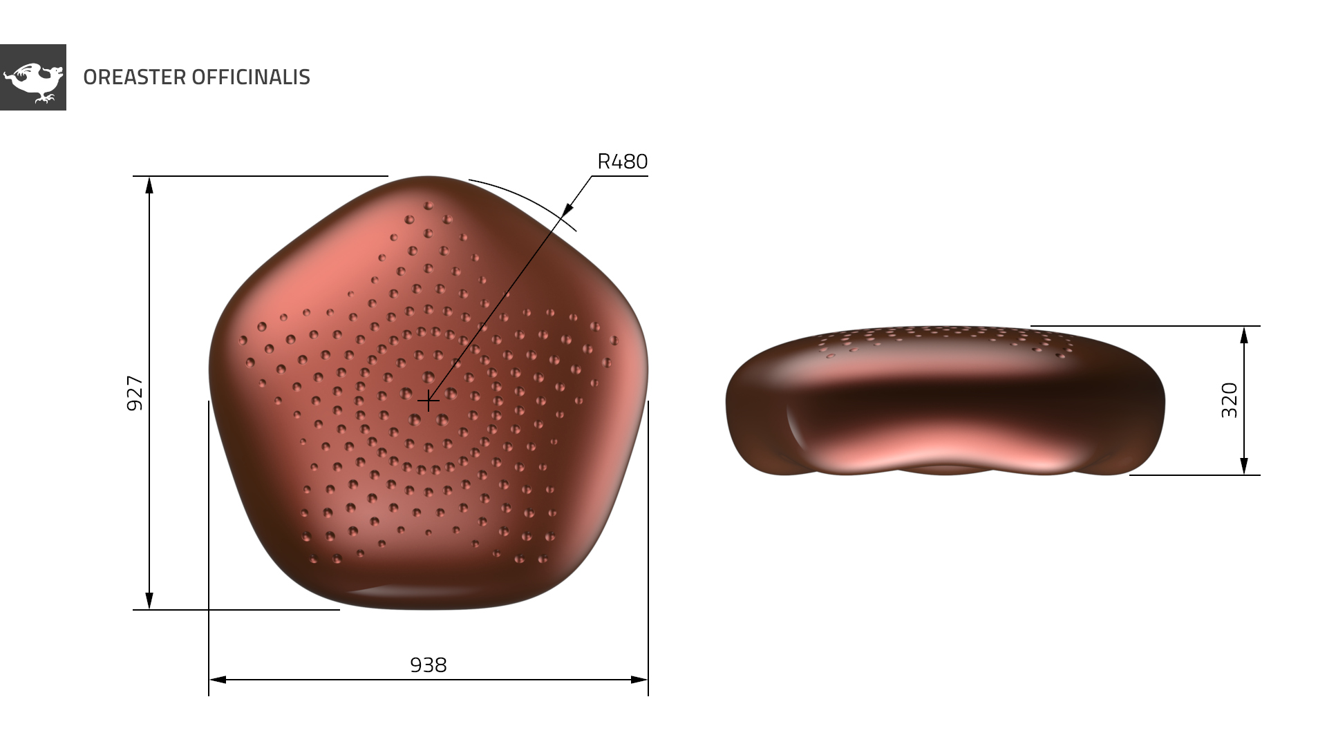 Oreaster officinalis: Dimensions